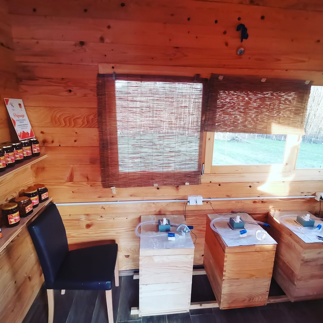 Unutrašnjost api komore